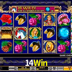 Descubra a Essência do 14Win: Nossa História e Compromissos