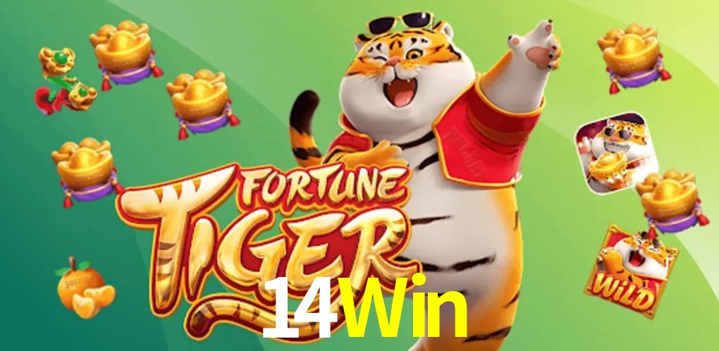 Sports Statistics 14Win