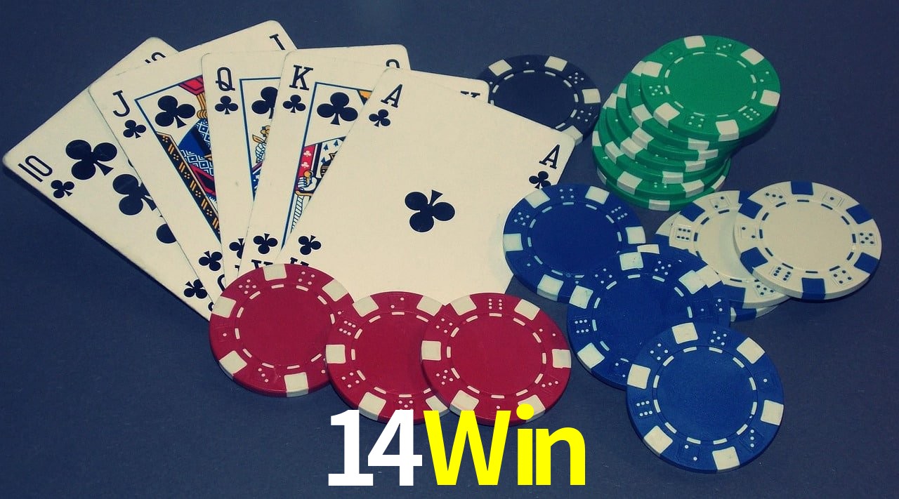 Experiência VIP 14Win